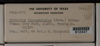 Image Associated With the Occurence
